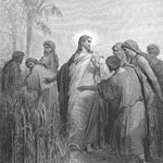 The Disciples Plucking Corn